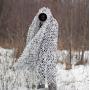 Buteo Photo Gear 3D Leafs Camouflage Net Snow 1.5x3 M