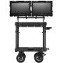 Selens 30 Monitor Mounting System