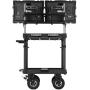Selens 30 Monitor Mounting System