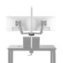 Selens Double Mounting Point