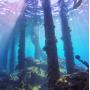 PolarPro Snorkel Filter for Hero5 Black