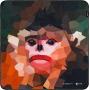 SmallRig 6039 Wild China Film Series Camera Wrap