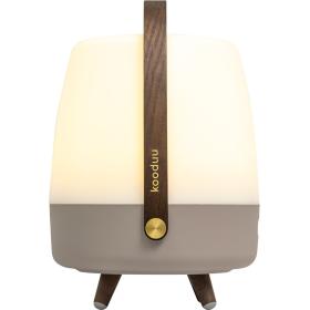 Kooduu Lite-Up Play Portable Speaker Lamp Powered By Sound By JBL - Earth