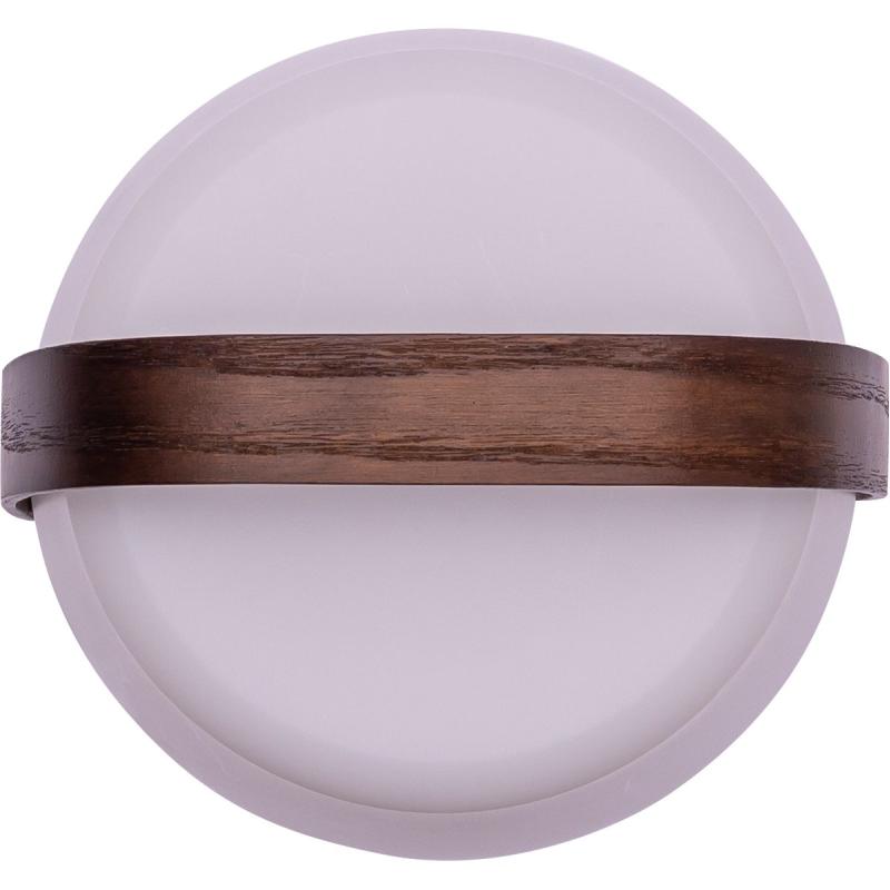 Kooduu Lite-Up Play Mini Portable Speaker Lamp Powered By Sound By JBL - Earth