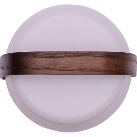 Kooduu Lite-Up Play Mini Portable Speaker Lamp Powered By Sound By JBL - Earth