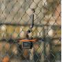SmallRig 5726 Fence Mount For Action Cameras