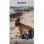Phantom CoC Lifestyle (Fam &amp;amp; Pets): Enthusiast -A6700B + 18-135mm f/3.5-5.6