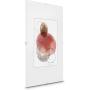 Hama Clip-Fix Frameless Picture Holder Polystyrene 40