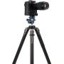 Benro Geared Head ArcaSwiss (GD36PT)