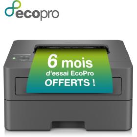 Brother HLL2400DWE Eco Laser Printer - Region