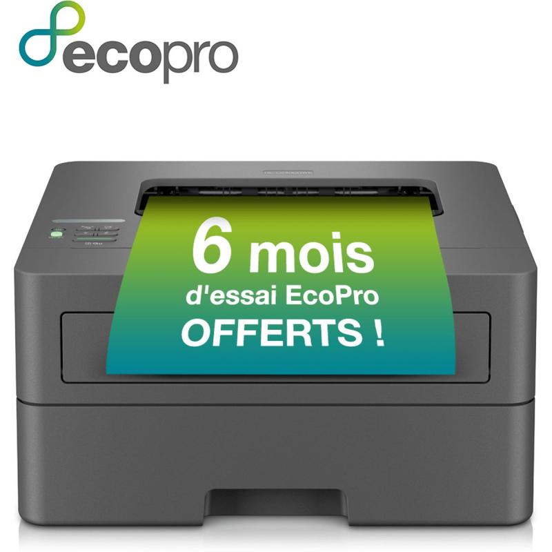 Brother HLL2400DWE Eco Laser Printer - Region