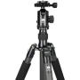 Sirui ET-2204 + E-20 (Carbon Fiber)