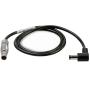 Tilta TCB-2LE-521-17 2-PIN Lemo To 5.5/2.1mm DC Male Cable