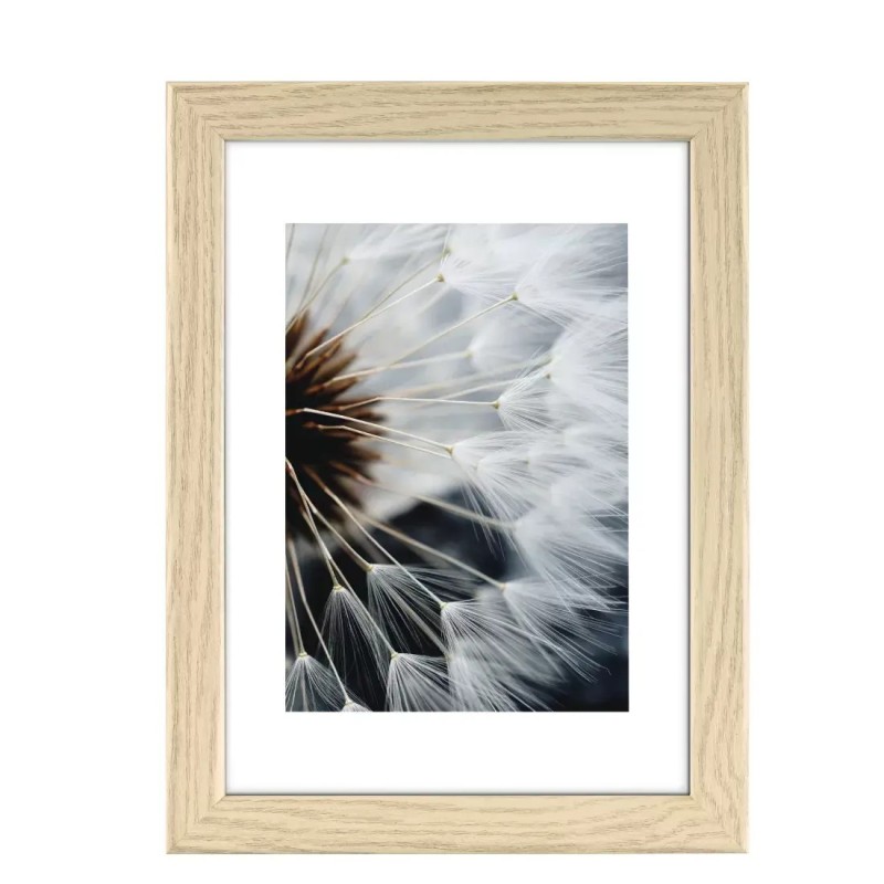 Hama Plastic Frame Breeze Eiken 10 X 15 cm