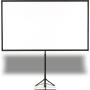 Epson Screen - ELPSC21 80 Mobile X TYPE16:9