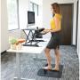 Soporte de Sobremesa Elevable Fellowes Sit-Stand Lotus LT/ hasta 17kg/ Negro