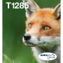 Epson T1285 Multi Easymail DuraBrite Ultra T12854511