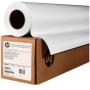 HP Professional Canvas Roll Matt 42inch