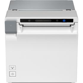 Epson EU-M30 (001): USB + Serial NES White No