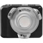 amaran Ray 60c