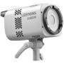 Godox LE200R White Litemons Full Colour LED Light