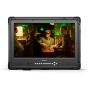 DESVIEW D21 PRO-21&amp;#039;&amp;#039; D-Series FHD Professional Director Monitor