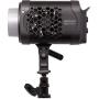 amaran Halo 600x