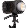 amaran Halo 600x