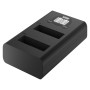 Comprar Newell cargador doble DL-USB-C para AB1 Osmo Action - Ganga Electrónica