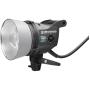 Elinchrom Digital RX Zoom ACTION Head