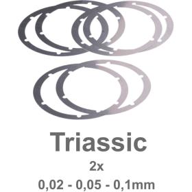Dulens Triassic Prime Shim