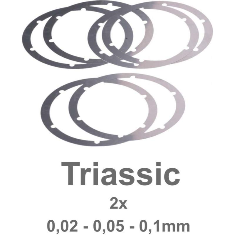 Dulens Triassic Prime Shim