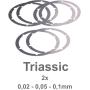 Dulens Triassic Prime Shim