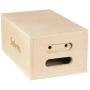 Selens 4 In 1 Apple Box(Original Colour)