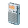 Comprar Sangean DT-250 Plata - Radio portátil - Ganga Electrónica