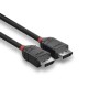 Comprar Lindy 36490 Cable Displayport 0,5 M Negro - Ganga Electrónica