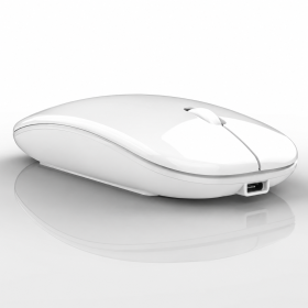 Comprar Generico Raton Inalámbrico Recargable 2 En 1 Bluetooth + Usb 2.4g 1600 Dpi Ergonómico Blanco - Ganga Electrónica