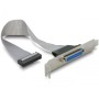 Comprar Delock 84300 Bracket Trasero 1 Puerto Paralelo - Ganga Electrónica