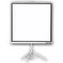 Comprar Pantalla de Proyección Mural Approx appP180T/ 180 x 180cm - Ganga Electrónica