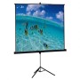 Comprar Pantalla de Proyección con Trípode Approx APPP200T/ 200 x 200cm - Ganga Electrónica