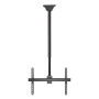 Comprar Soporte de Techo Giratorio/ Inclinable/ Extensible/ Nivelable Aisens CT70TSLE-033 para TV de 37-70'/ hasta 50kg - Ganga 