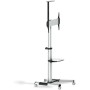 Comprar Soporte de Suelo Inclinable/ Ajustable con Ruedas TOOQ FS1870M-B para TV de 37-70'/ hasta 50kg - Ganga Electrónica