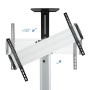 Comprar Soporte de Suelo Inclinable/ Ajustable con Ruedas TOOQ FS1870M-B para TV de 37-70'/ hasta 50kg - Ganga Electrónica