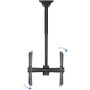 Comprar Soporte de Techo Orientable/ Inclinable/ Extensible TOOQ LPCE1155TSLI-B para TV de 32-55'/ hasta 50kg - Ganga Electrónic