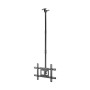 Comprar Soporte de Techo Giratorio/ Inclinable/ Extensible Aisens CT80TSE-075 para TV de 37-80'/ hasta 50kg - Ganga Electrónica