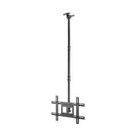 Comprar Soporte de Techo Giratorio/ Inclinable/ Extensible Aisens CT80TSE-075 para TV de 37-80'/ hasta 50kg - Ganga Electrónica