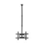 Comprar Soporte de Techo Giratorio/ Inclinable/ Extensible Aisens CT80TSE-075 para TV de 37-80'/ hasta 50kg - Ganga Electrónica