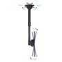 Comprar Soporte de Techo Giratorio/ Inclinable/ Nivelable TOOQ LPCE1170TSLI-B para TV de 37-70'/ hasta 50kg - Ganga Electrónica
