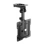Comprar Soporte de Techo Giratorio/ Plegable Aisens CT43S-187 para TV de 19-43'/ hasta 20kg - Ganga Electrónica