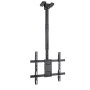 Comprar Soporte de Techo Giratorio/ Inclinable/ Nivelable TOOQ LPCE1175TSLI-B para TV de 32-75'/ hasta 60kg - Ganga Electrónica